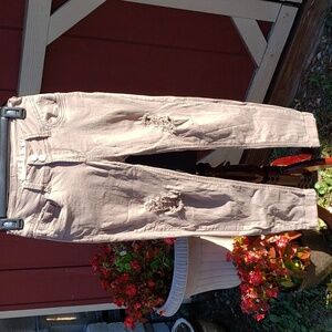 Wallflower Ankle Skinny Jeans